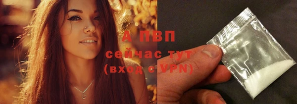 дурь Лабытнанги
